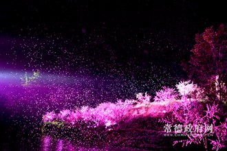 《桃花源記》大型溪流漫游實(shí)景演出—“落英繽紛”