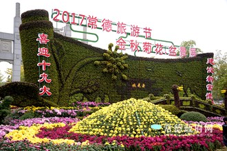 丁玲公園菊花展