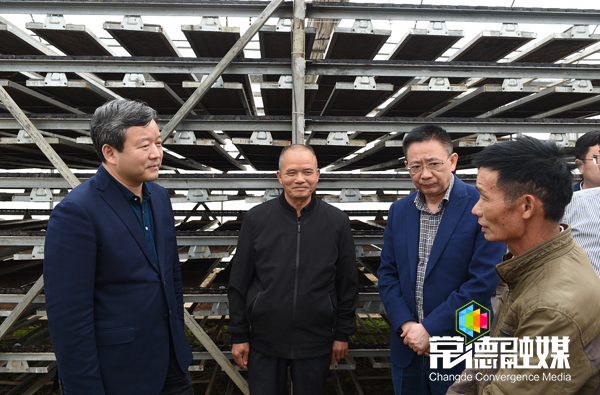 曹立軍赴鼎城區(qū)調(diào)研 全力做好春耕備耕和鄉(xiāng)村產(chǎn)業(yè)發(fā)展