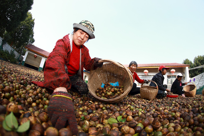 常德市脫貧攻堅攝影作品展播（第二期）