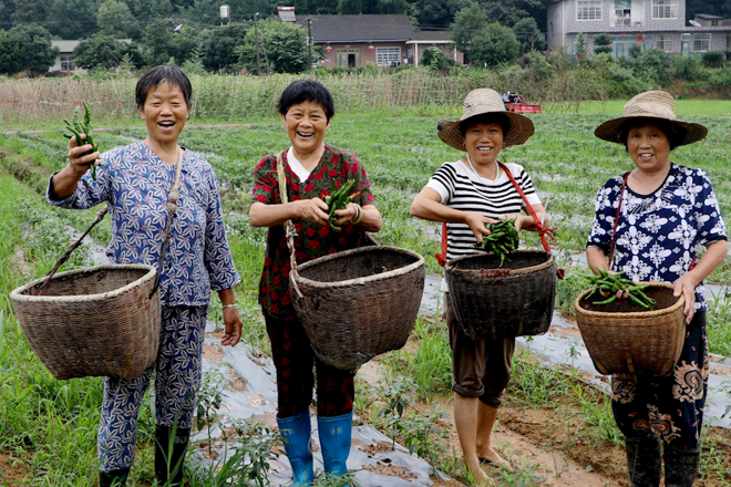 常德市脫貧攻堅攝影作品展播（第四期）