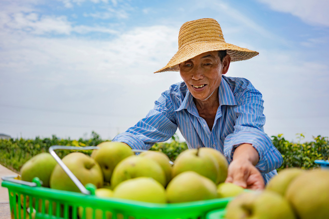 常德市脫貧攻堅攝影作品展播（第十三期）