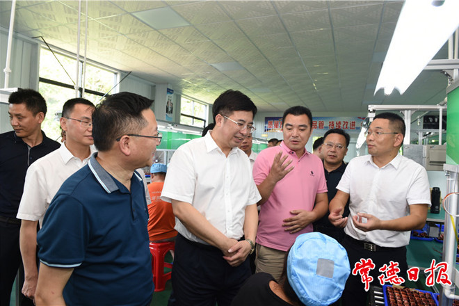 鄒文輝赴桃花源、桃源縣調(diào)研時指出 堅持講政治抓落實 做好“收官之年”各項工作