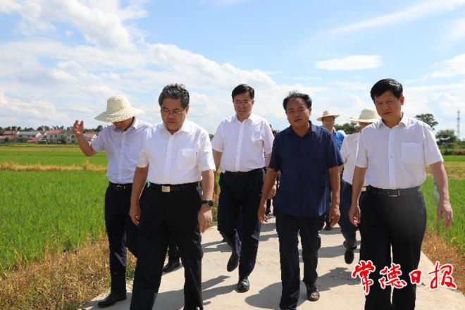 隋忠誠來常調(diào)研農(nóng)業(yè)工作時指出 確保農(nóng)業(yè)增效、糧食增產(chǎn)、農(nóng)民增收