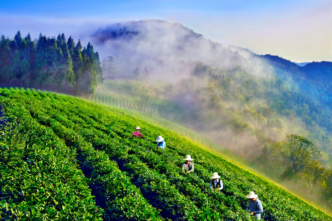 常德市脫貧攻堅(jiān)攝影作品展播（第十六期）