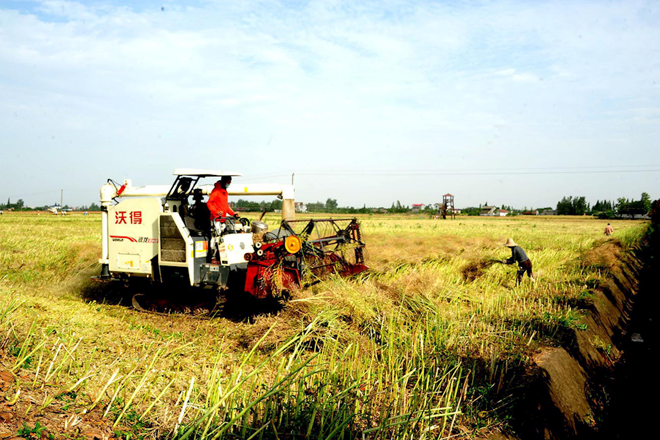 常德市脫貧攻堅(jiān)攝影作品展播（第十七期）