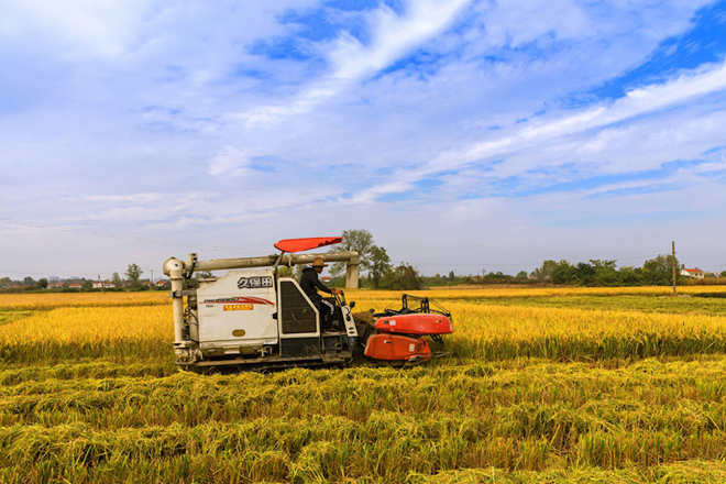 常德市脫貧攻堅攝影作品展播（第二十期）