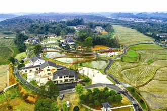 俯瞰草坪鎮(zhèn)楓林口村幸福屋場