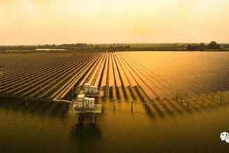 鼎城區(qū)沖天湖萬(wàn)畝光伏發(fā)電站
