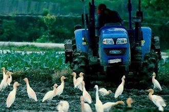 石門縣蒙泉鎮(zhèn)