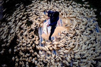 鴨倌——石門縣夾山鎮(zhèn)