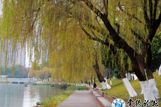 常德穿紫河、沅水風(fēng)光帶【組圖】