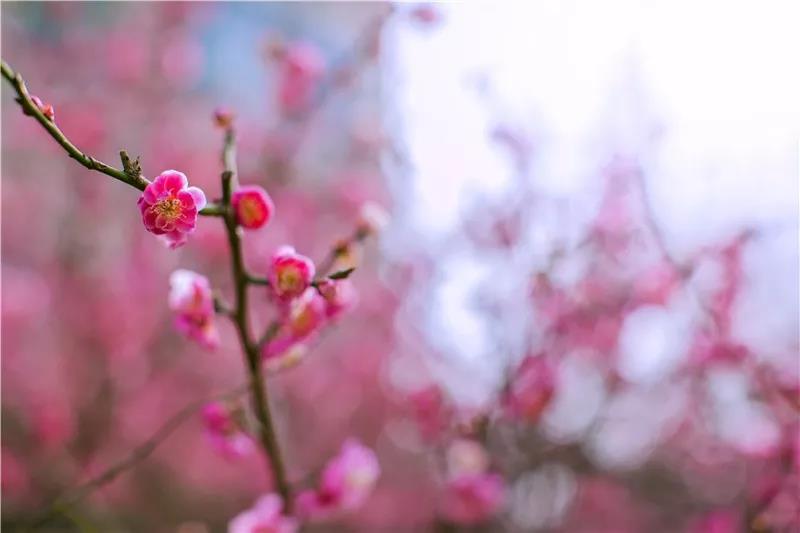 4c0ed4bda91a468992123b8e9a1e20b4.jpg 4c0ed4bda91a468992123b8e9a1e20b4.jpg