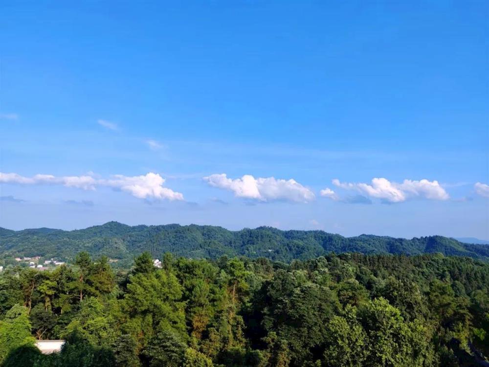 90f13504989e44aa99718d948afa5f53.jpg 90f13504989e44aa99718d948afa5f53.jpg