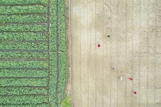 【經濟】正是春天耕耘時