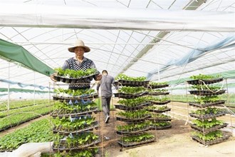 【經(jīng)濟(jì)】搶抓農(nóng)時耕耘忙 不誤田疇一季春