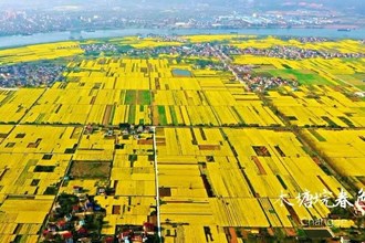 桃源縣木塘垸春色