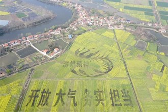 【經(jīng)濟】澧縣小渡口鎮(zhèn)土地洲村油菜彩繪