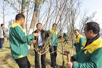 【社會】不負好春光 植樹添新綠