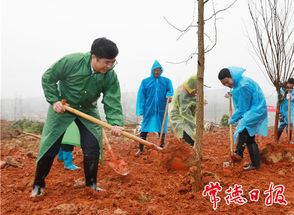 我市開展集中義務(wù)植樹活動(dòng)扮靚常德