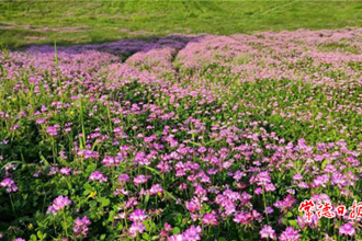 你好，人間四月天