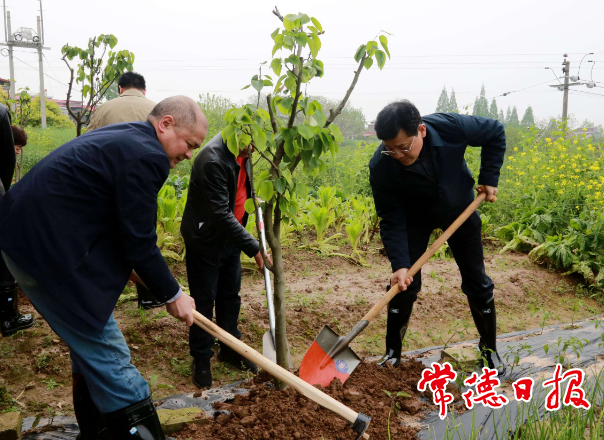 市政協(xié)開展義務(wù)植樹活動(dòng)