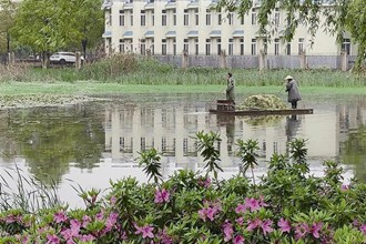 【社會】屈原公園對水生植物進行管培