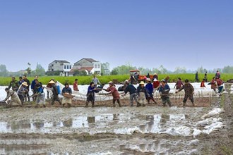 【經(jīng)濟】一年之計在于春，春耕育秧正當時