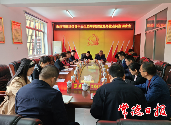 市領(lǐng)導(dǎo)督導(dǎo)生態(tài)環(huán)境問(wèn)題整改時(shí)強(qiáng)調(diào)：讓綠色成為常德高質(zhì)量發(fā)展的底色