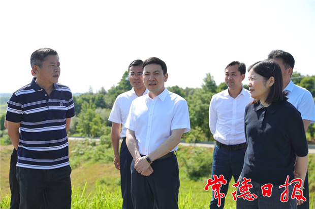 市領(lǐng)導(dǎo)赴臨澧督導(dǎo)防汛備汛等工作