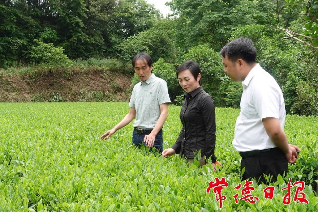 點村工作要努力促進“五個”振興