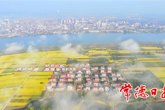 云霧掩映鄉(xiāng)村新畫卷