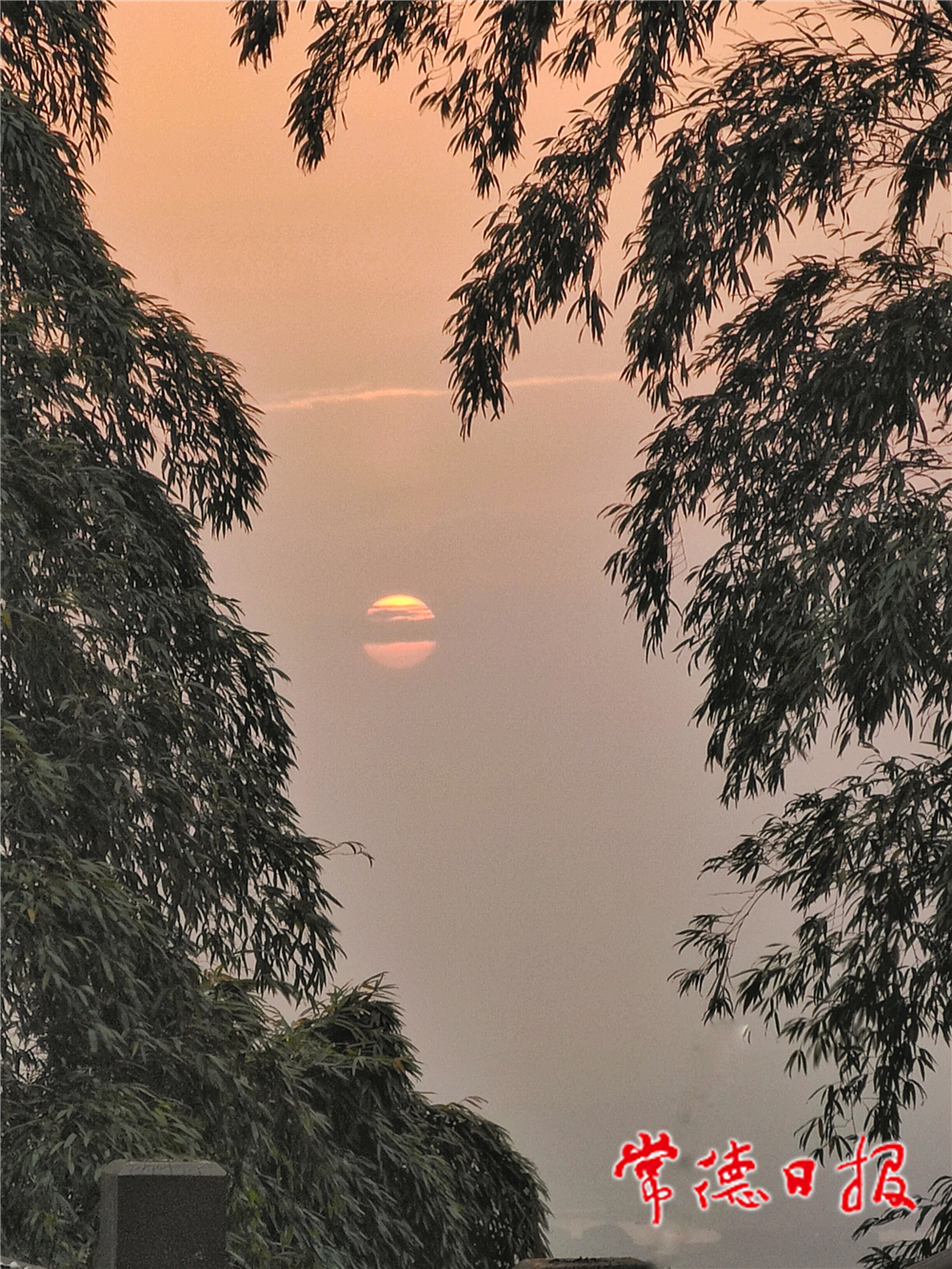 sj王曾潔-太陽山上的落日-2-2.jpg