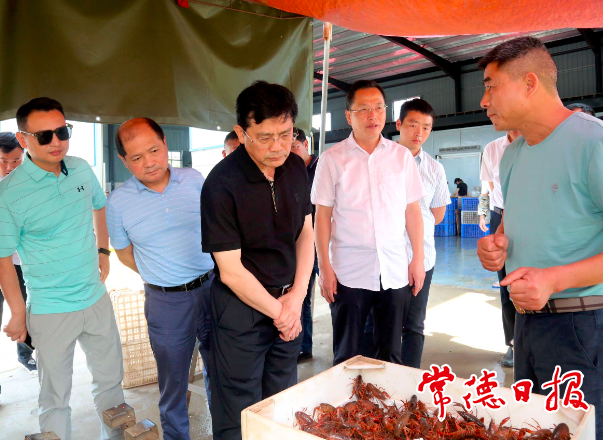 市領(lǐng)導(dǎo)赴安鄉(xiāng)調(diào)研鄉(xiāng)村振興工作時(shí)要求：真正實(shí)現(xiàn)農(nóng)業(yè)強(qiáng)、農(nóng)村美、農(nóng)民富