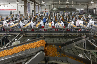 桃源縣辣妹子食品