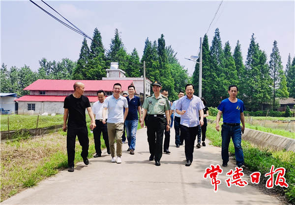 市領(lǐng)導(dǎo)在團(tuán)結(jié)村調(diào)研鄉(xiāng)村振興工作時(shí)強(qiáng)調(diào)：落實(shí)各項(xiàng)措施 出實(shí)招干實(shí)事