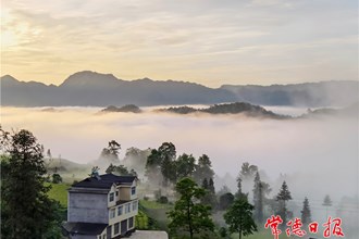 羅坪云海 茶鄉(xiāng)美景