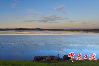 發(fā)現(xiàn)常德之美【組圖】