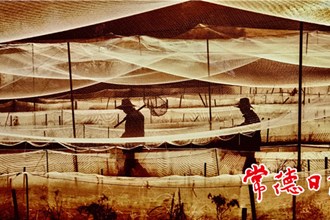 發(fā)現(xiàn)常德之美【組圖】