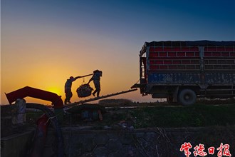 發(fā)現(xiàn)常德之美【組圖】