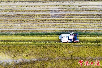 發(fā)現(xiàn)常德之美【組圖】