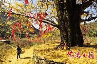 發(fā)現(xiàn)常德之美【組圖】