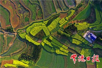 發(fā)現(xiàn)常德之美【組圖】