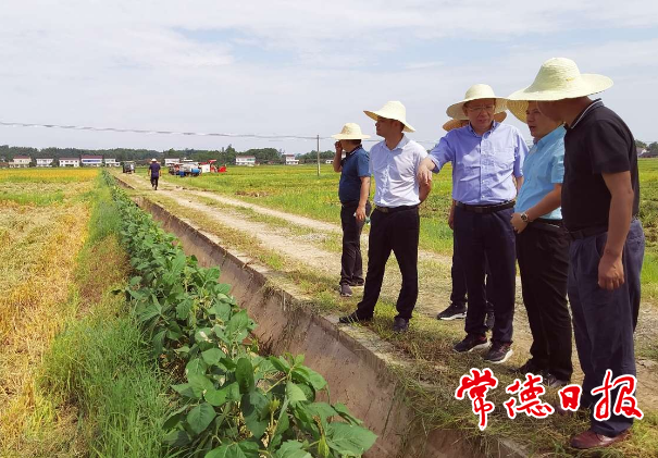 全省水稻機(jī)收減損現(xiàn)場(chǎng)演示會(huì)籌備工作專(zhuān)題會(huì)議強(qiáng)調(diào)：抓好活動(dòng)籌備 彰顯常德作為