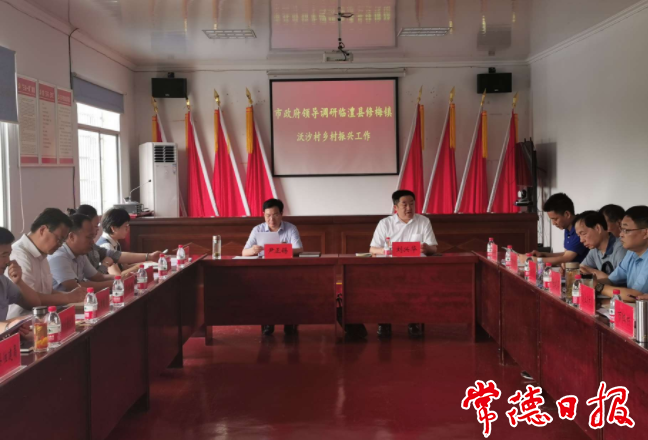 市領(lǐng)導(dǎo)赴臨澧調(diào)研鄉(xiāng)村振興工作時(shí)強(qiáng)調(diào)：因地制宜做好村莊的布局和產(chǎn)業(yè)規(guī)劃