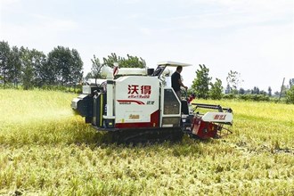 澧縣：城頭山鎮(zhèn)早稻進(jìn)行測產(chǎn)驗(yàn)收