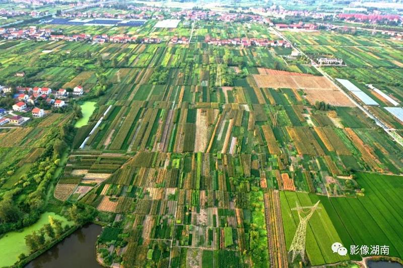 3916fa82f9a7498ba70fd3259016809e.jpg 3916fa82f9a7498ba70fd3259016809e.jpg