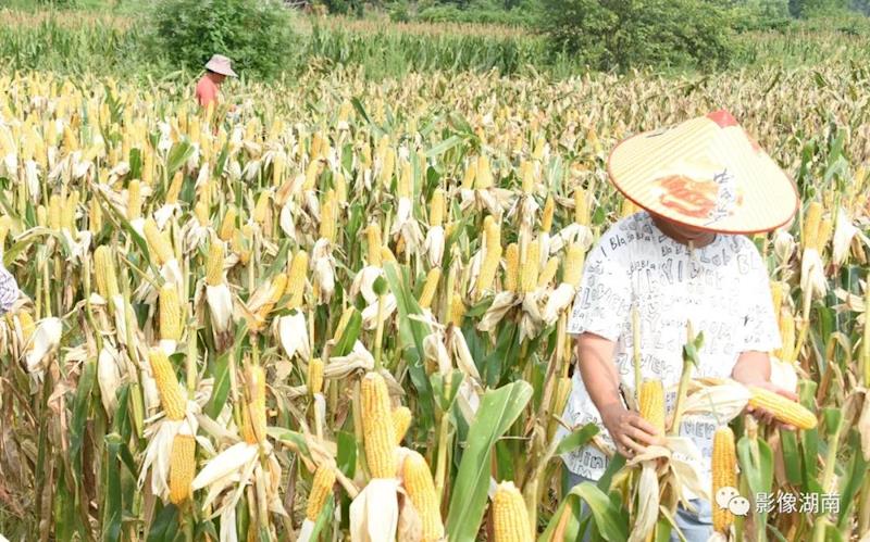 4500de90666045138887986781db8a74.jpg 4500de90666045138887986781db8a74.jpg