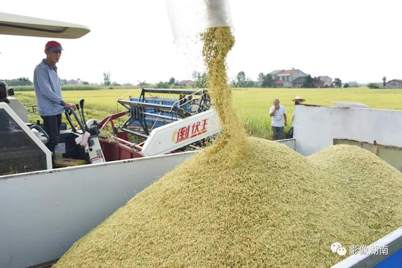 774ed55e52714dad9a910f16ac608782.jpg 774ed55e52714dad9a910f16ac608782.jpg