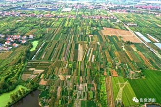 澧縣：產(chǎn)業(yè)旺 鄉(xiāng)村興